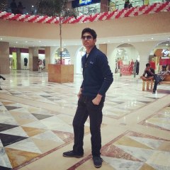 Minam Rex