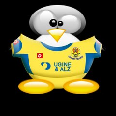 netmiyparzu1986