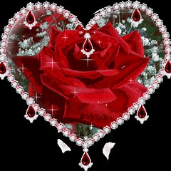 King Rose