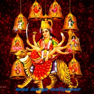 Astrologer Vikram Shastri