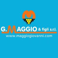 maggio srl