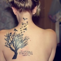 sports baseball 2015