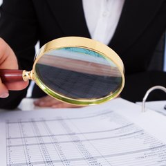 International Developmenmt Services