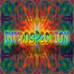 Introspection