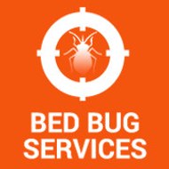 Bed Bug Services