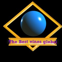 New Vines Global