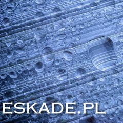 ESKADE-SYSTEM