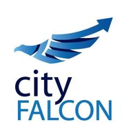 Cityfalcon12