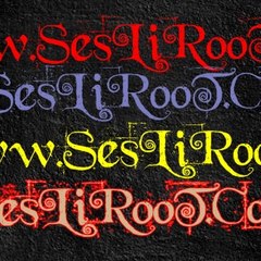 Seslirott