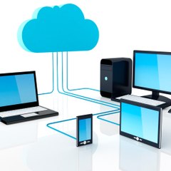 Software, IT & E.Commerce  Combo