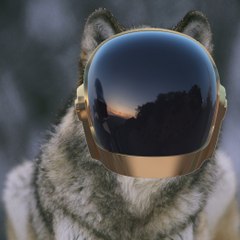 AlphaWolf100
