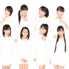 Kobushi Factory