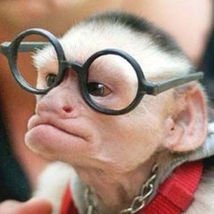 kafa nereye biz oraya