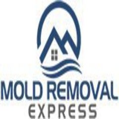 Mold Removal Express