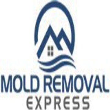 Mold Removal Express