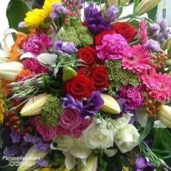 Asim Bhatti