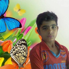 ali majid
