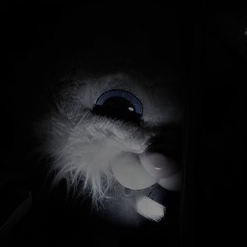 Pourquoi Avoir Peur ?