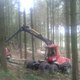 Travaux forestiers broyage Tom BLG