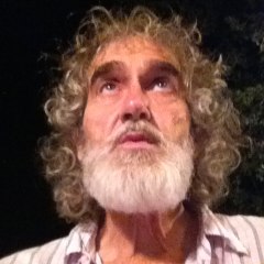Jean Pierre SELVINI