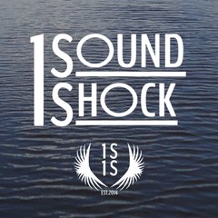 1sound1shock