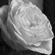 gulnareyvazova2012@gmail.com