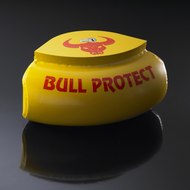 Bull Protect