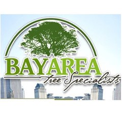 Bay Area Tree Specialists