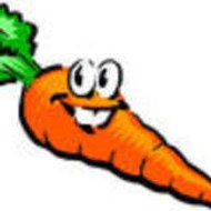 carotte