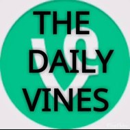 Daily vines