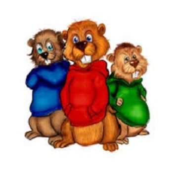 Beaver s