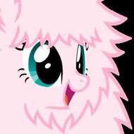 Flunsh Fluffle Video