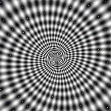 yo yo