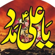 SYED ZULFIQAR ALI SHAH