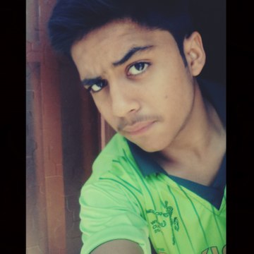 anas hussain