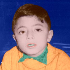 Vincent Lammour