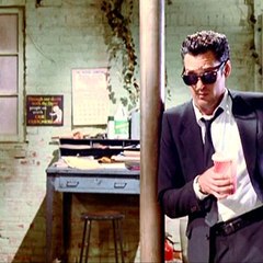 Reservoir Dog