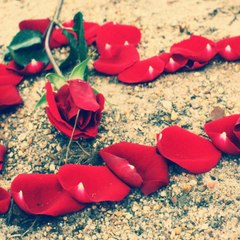 A.b. Sanwal