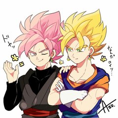 Dragon Balls Warriors