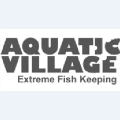 Aquatic Village