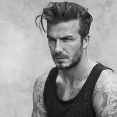 david beckham fan