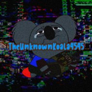 TheUnknownKoala4545