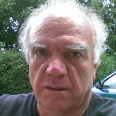Domenico Pernice