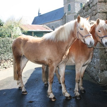 Le Clos Baudran