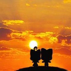 Pulltrip