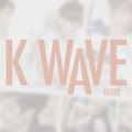 Kwave Brasil - Probrazil