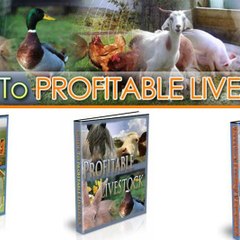 How To Farm Livestock