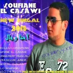 Chebsoufianeelcasawii