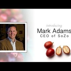 Mark Adams Sozo