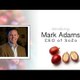 Mark Adams Sozo
